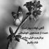 آهنگ دیوونه میدونست عاشقم همه چیم بود و به وقتش میدادم حتی جونم