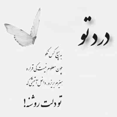 آهنگ عجب بوی خوشی دارد برادر