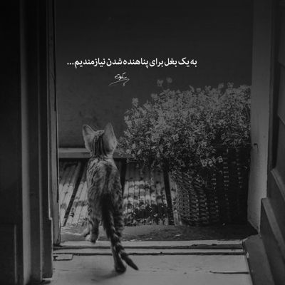 آهنگ دیدمش بعد یه عمر جدایی