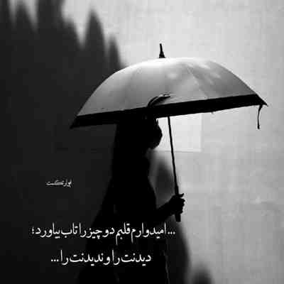 آهنگ میخوام از عشقت یه جوری بمیرم