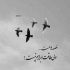 آهنگ عجب بوی خوشی دارد برادر