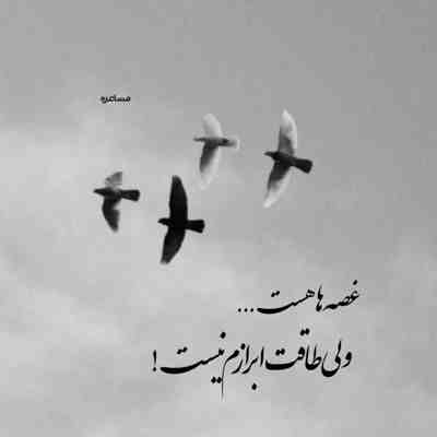 آهنگ پروانه رنگ رنگ زیبا