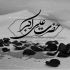 مداحی ای ماه بنی هاشم خورشید لقا عباس