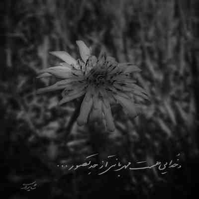 آهنگ حبیبی تیک تاک