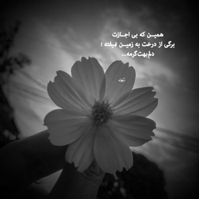 آهنگ با توام ای رفته از دست هر کجا باشم غمت هست