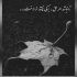 آهنگ تو چرا پشیمونی تو که با همه بودی