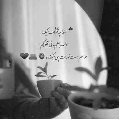 آهنگ بوی عطرت پیچید توی این خونه