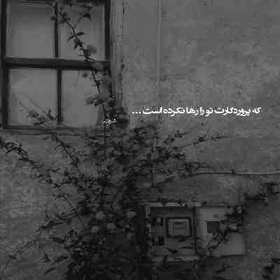 آهنگ خارجی سریال یاغی