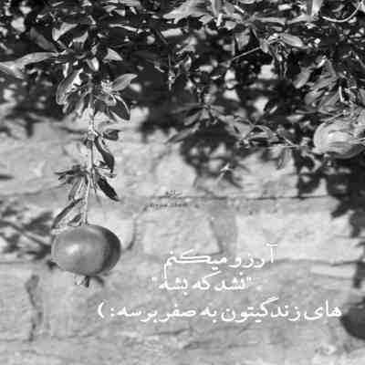 آهنگ شهریوری دلو بردی یه تنه