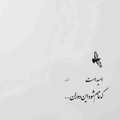 آهنگ هر چی زمین خورد