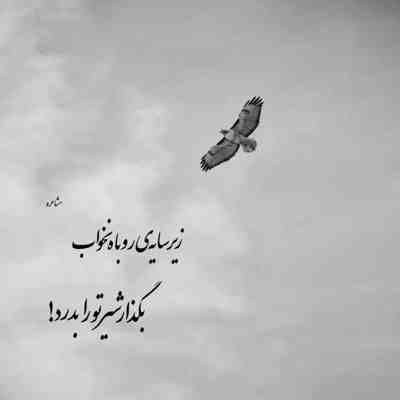 آهنگ مال خود منی تا ابد
