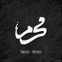مداحی ماه من علی تنها تکیه گاه من علی حسین طاهری