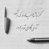 آهنگ کدخدا دیر زمانیست که دیوانه شدست