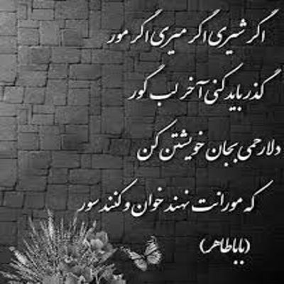 آهنگ کدخدا دیر زمانیست که دیوانه شدست