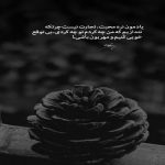 آهنگ از این بالا نیگا کردم زمین منو صدا میزد