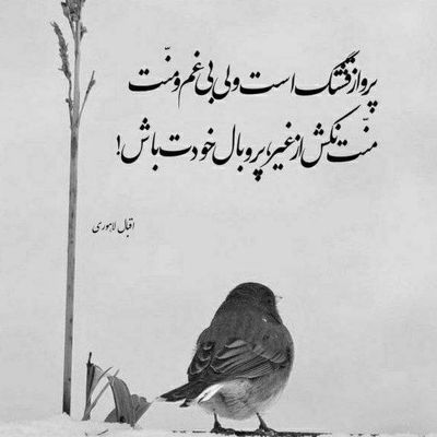 آهنگ برو نمیکنم هیچوقت تلافی