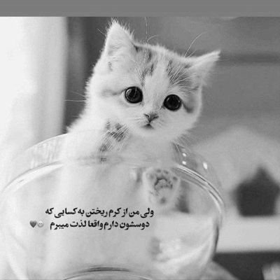 آهنگ آخ بمیرم واسه مهربونی صورت ماهت