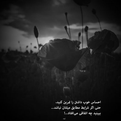 آهنگ این عشق تو چشات و حرفات همه اش مال من