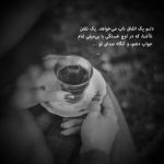 آهنگ گل نازمی ملودی سازم دلیل بردمی بی تو میبازم