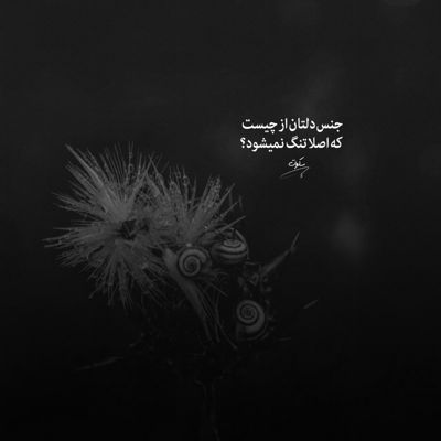 آهنگ از وقتی تو رفتی شب حالمو پرسید