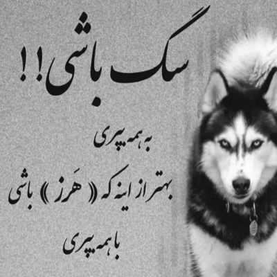 آهنگ دیوونگیو به جون خریدم