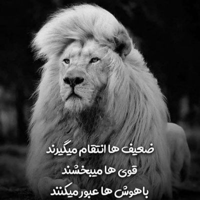 آهنگ سنگ تراش چون نقش بی ستونی تندیسی از امید بتراش