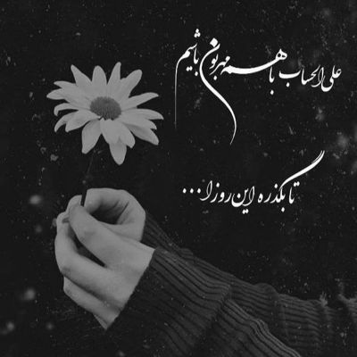 آهنگ ببین چقدر دلبری تو من دوست دارم موهای فرفری تو
