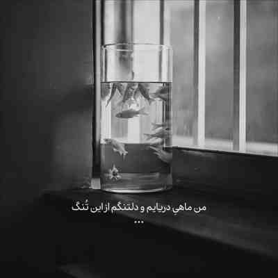 آهنگ میترسم از روزی که عاقبت چاقوی تو