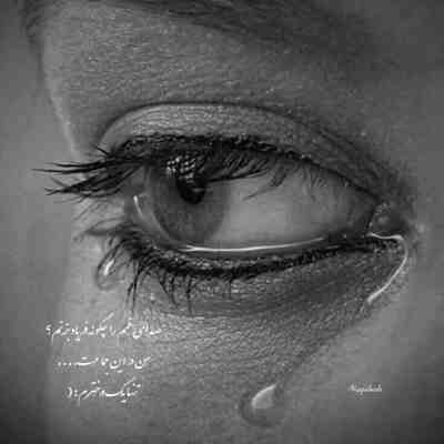 آهنگ فلک چرخکت ناسازه له نو