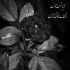 آهنگ یکی توو دنیا هست که عاشقه با تو
