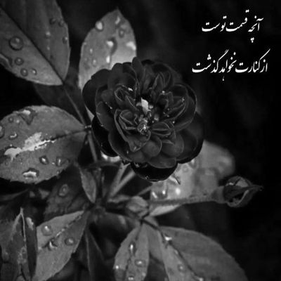 آهنگ چه حس تردیدی تو قلب ما رفته