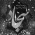 دکلمه اشتباه از ما بود خسرو شکیبایی