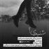 آهنگ گل نازم چه کاری کردی با من هنوز دوست دارمو
