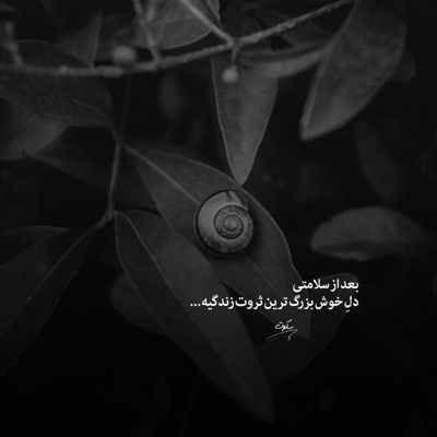 آهنگ رخصتی تا ترک این هستی کنیم