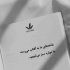 آهنگ تو کوچه ها نمیشه بی تو پرسه زد