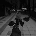 آهنگ به جای من تو زخم خوردی رفیق