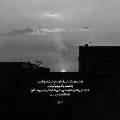 آهنگ من یه ماهی ام لب ساحل که از مردن نمیترسم