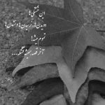 آهنگ زیرو رو کردم همه دنیارو تا پیدات شد