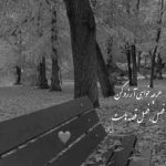 آهنگ وطن ای هستی من