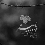 آهنگ یه شبگرد عاشق که یه شهرو با خیالت دوره کرده