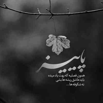 آهنگ یه شبگرد عاشق