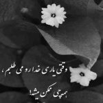 آهنگ میترسم دلم یاد بگیره بی تو پرواز