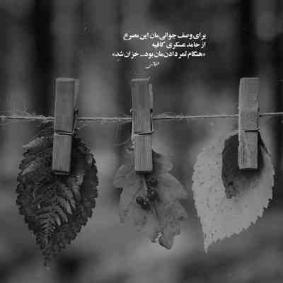 آهنگ من اسیر سایه های شب شدم