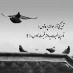 آهنگ دلبر چشمون آبیه دلبر مو شرابیه