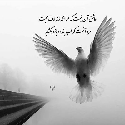 آهنگ تو فقط اشاره کن هر کاری واست میکنم