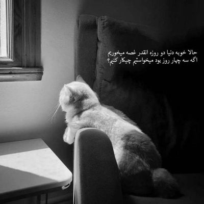 آهنگ حاضرم برگردی بکنی جر و بحث باز