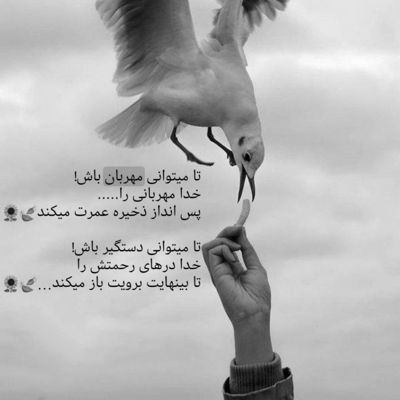 آهنگ توی چشمای تو گم میشم مثه ماهی تو تنگ میشم