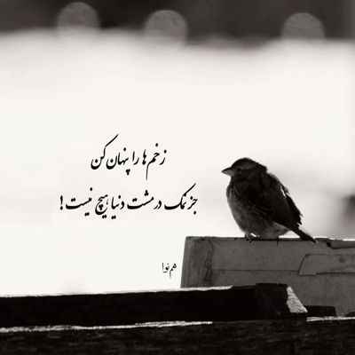 آهنگ از این به بعد دلم واسه تو