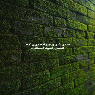 آهنگ تو هم شدی مثل اونا قلبتو دادی تو راه