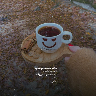 آهنگ عاشقتم بی چک و چونه
